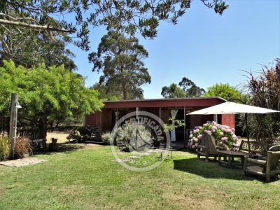 Apartamento Los Girasoles - Apto Punta del Diablo