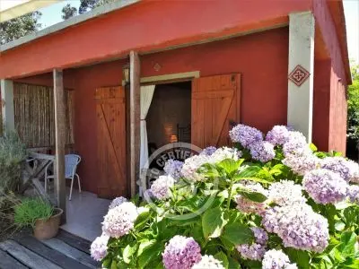 Apartamento Los Girasoles - Apto Punta del Diablo