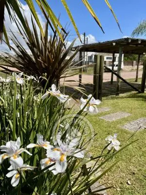 Apartamento Los Caracoles - Apto 1 Dorm abajo Punta del Diablo