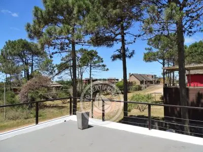 Terraza planta alta CASA