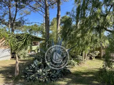 Cabin África  Punta del Diablo