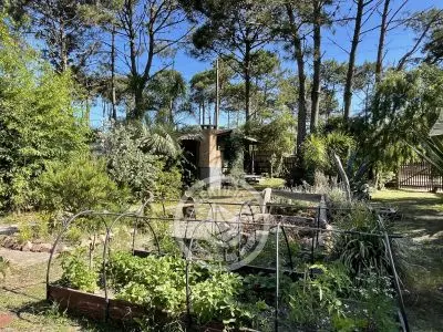 Cabin África  Punta del Diablo