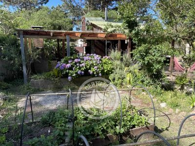 Cabana África  Punta del Diablo