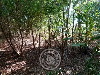 Lots M 64 S 5  Punta del Diablo