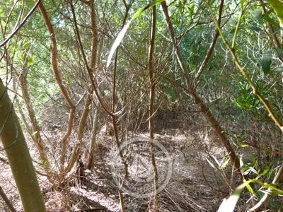 Lots M 64 S 5  Punta del Diablo