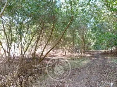 Lots M 64 S 5  Punta del Diablo