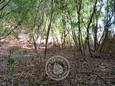 Lots M 64 S 5  Punta del Diablo