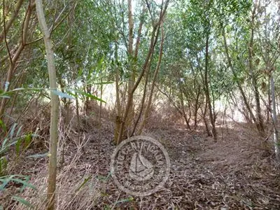 Lots M 64 S 5  Punta del Diablo