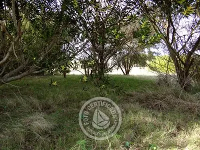 Lots Terreno Manzana 75 Solar 21 Punta del Diablo