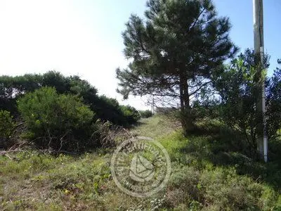 Lots Terrenos M 29 Solares 3 y 4 Punta del Diablo