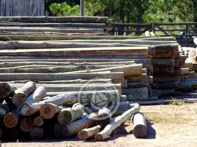 Construcción y Mantenimiento Maderas del Diablo Punta del Diablo
