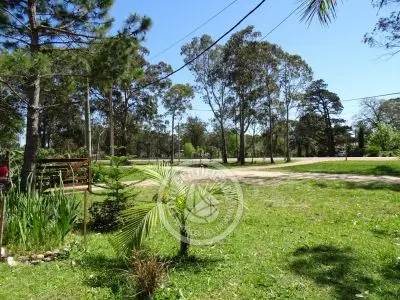 Inmobiliaria Inmobiliaria Gerali Punta del Diablo