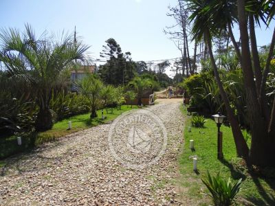 Casa La Dragonera La Paloma