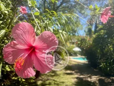 Complexo Anaconda Club La Paloma