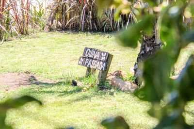 House Quina Passada La Paloma