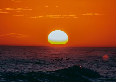 House Quina Passada La Paloma