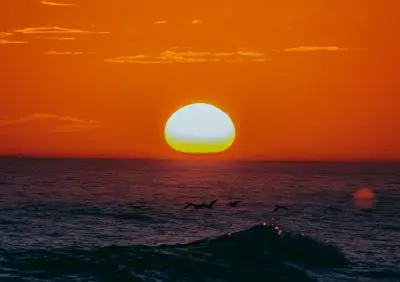 Casa Quina Passada La Paloma