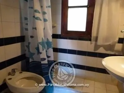 House Aleluya La Paloma