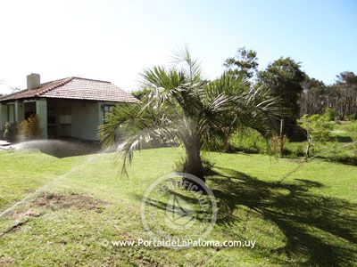 House Maja Da Onda La Paloma