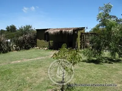 House El Lugar La Paloma