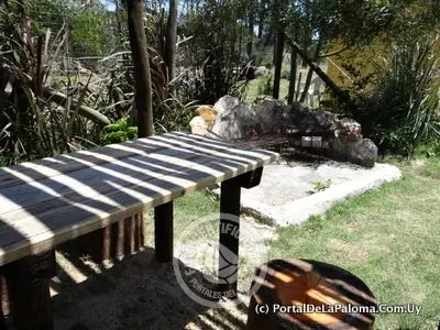 House El Lugar La Paloma