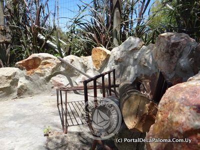 Casa El Lugar La Paloma