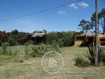 Casa El Lugar La Paloma