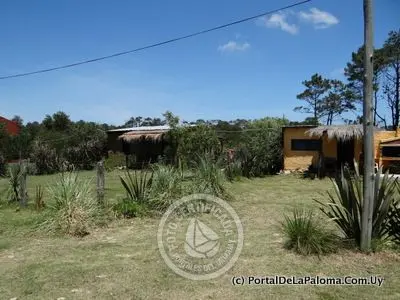 House El Lugar La Paloma