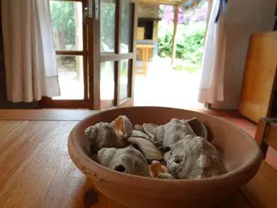 Casa Cabaña de Piedra La Paloma