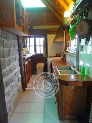 Cabin Brujilda La Paloma