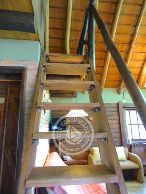 Cabin Brujilda La Paloma