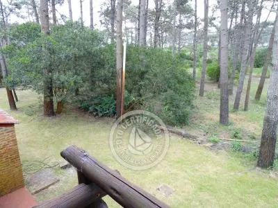 Cabaña Brujilda La Paloma