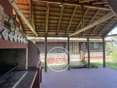 Brujilda - La Paloma