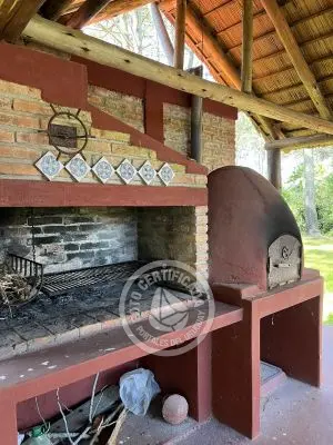 Brujilda - La Paloma