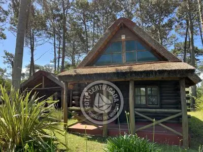 Brujilda - La Paloma