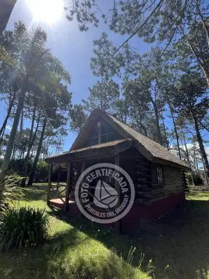 Brujilda - La Paloma