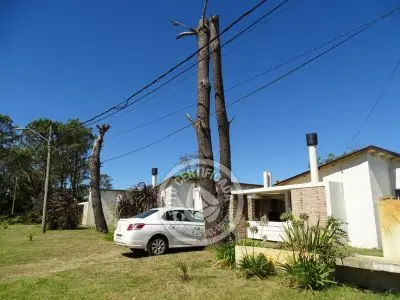 Bitacoras - La Paloma