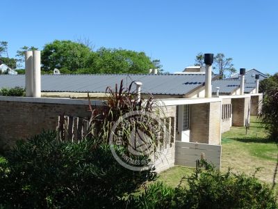 Bitacoras - La Paloma