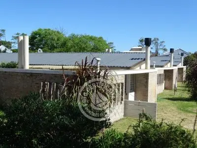 Bitacoras - La Paloma