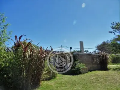 Bitacoras - La Paloma