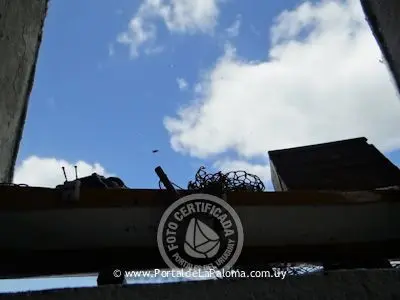 Casa Casa de Ángela (La Pedrera) La Pedrera