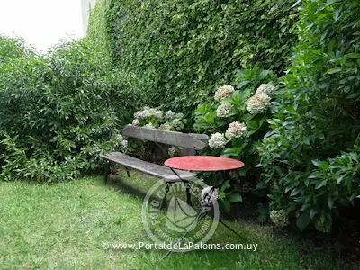 Casa Casa de Ángela (La Pedrera) La Pedrera