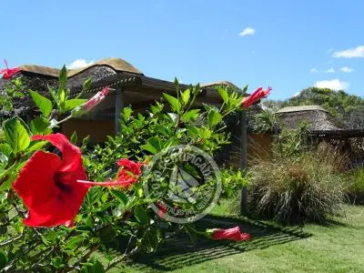 Complexo Coco Loco Lodge La Paloma