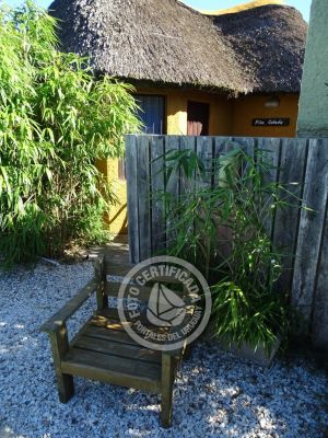 Complejo Coco Loco Lodge La Paloma