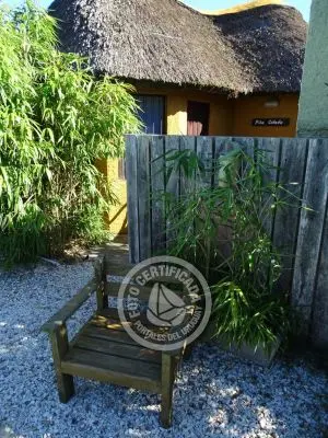 Complexo Coco Loco Lodge La Paloma