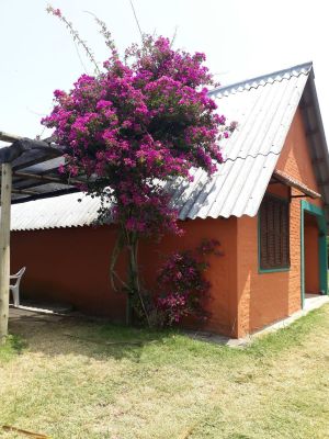 House Dolce Vita (La Pedrera) La Pedrera