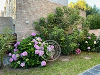 Villa El Maná La Paloma