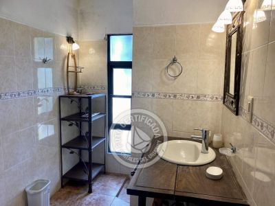 House Occidente La Paloma