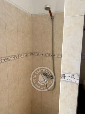 House Occidente La Paloma