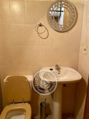 House Occidente La Paloma